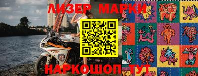 крисы Новозыбков
