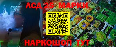 крисы Новозыбков