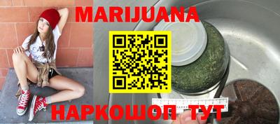 крисы Новозыбков
