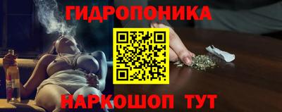 прущие грибы Новокубанск