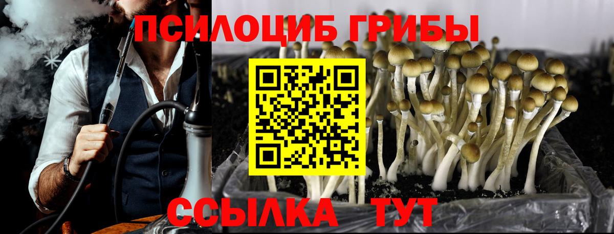 Галлюциногенные грибы мухоморы Унеча