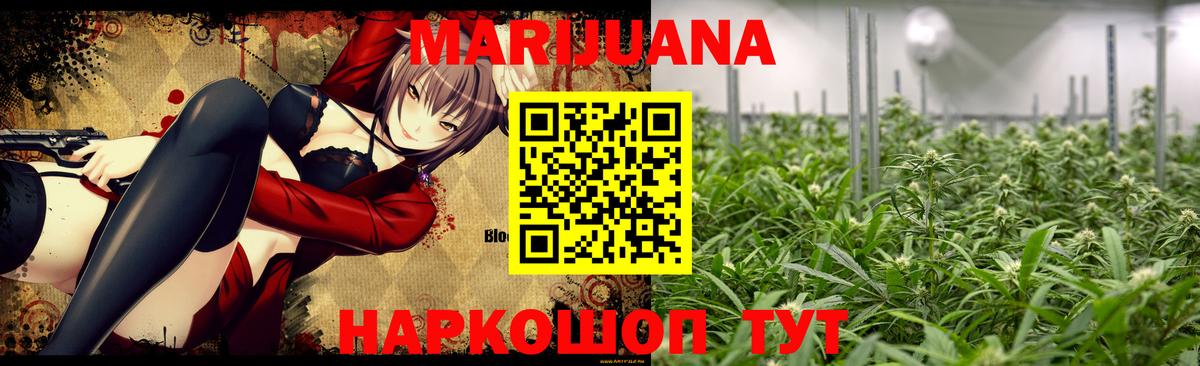 Бошки Шишки план Унеча